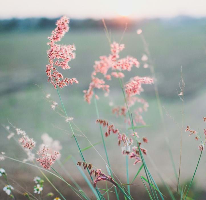 Se vores organisation