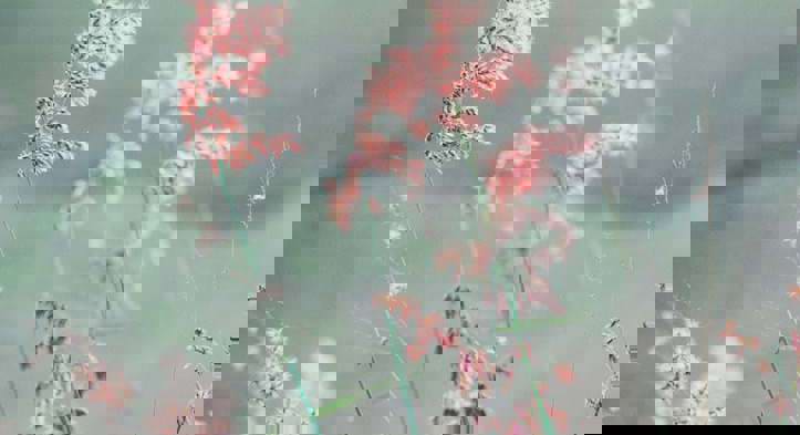 Se vores organisation